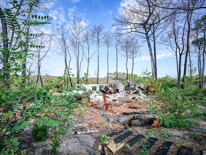 Vestigios del restaurante Salie Sud, que se ubicaba en medio del bosque de las Landas y que se quemó durante los incendios del año pasado.