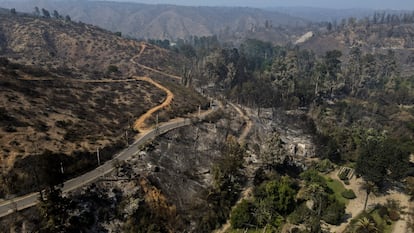 Incendios forestales Valparaíso, Chile