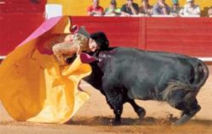 José Tomás, 16 tardes de pasión y toros