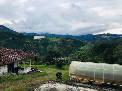 Vistas de la finca Alto de Plumas, en Santuario, Colombia. Imagen proporcionada por Tomeguín y Colibrí.