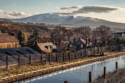 Vista desde la finca de The Macallan.