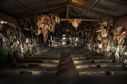 Milhares de pessoas tentaram de se refugiar nas igrejas aonde iam rezar todos os domingos. Só no templo de Ntarama, 5.000 pessoas foram aniquiladas na manhã de 11 de abril, uma segunda-feira. Esta foto e a seguinte mostram o resultado daquele massacre.