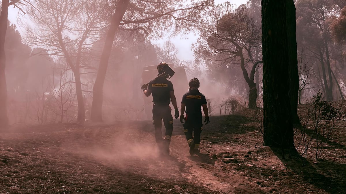 Diario de un bombero (parte II): “La gran victoria ha sido la protección de la vida, que no haya muertos”
