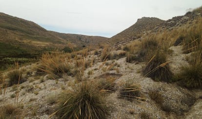 El mismo paisaje desértico de Ciempozuelos que aparece en 'Quién grita venganza', en la actualidad.