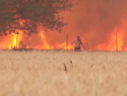 Un hombre atrapado en un incendio forestal escapaba del fuego con la ropa en llamas, el lunes en Zamora.