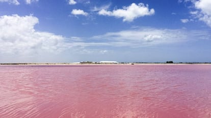 Las Coloradas em Yucatán, México.