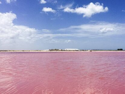 Las Coloradas em Yucatán, México.