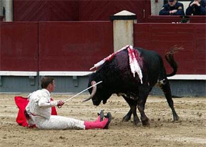 Sergio Marín caído en la cara de su primer novillo tras intentar dar un muletazo.