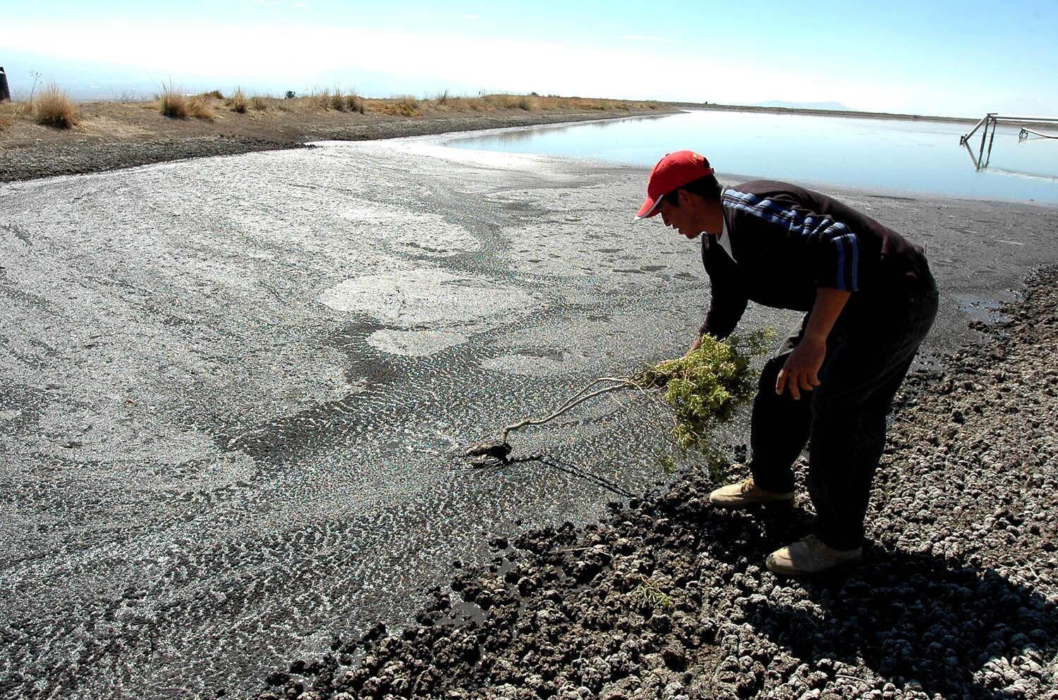 Contaminación producida por las Granjas Carroll cerca de la comunidad Orilla del Monte, en Perote, en 2006.