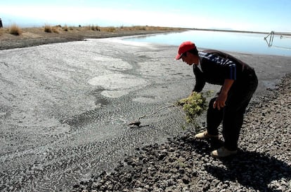 Contaminación producida por las Granjas Carroll cerca de la comunidad Orilla del Monte, en Perote, en 2006.