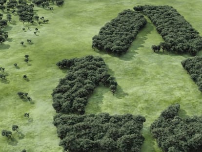 Urge incorporar los préstamos PACE
a la Ley de Cambio Climático