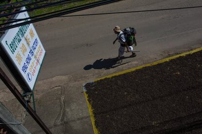 A produção do chá Oolong é responsável por atrair turistas do mundo inteiro interessados em conhecer e aprender sobre o cultivo e produção do chá. Precários programas de inserção do turista nas plantações estão em fase de implementação. As calçadas são tomadas por extensas lonas amarelas nas quais os chás são secos ao calor do sol do meio dia.