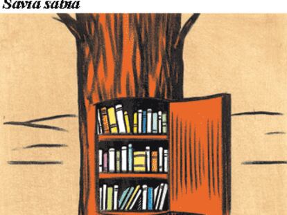 Savia sabia