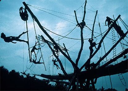 La compañía guineana Circus Baobab presenta su espectáculo &#39;La légende du singe tambourinaire&#39; en un árbol de quince metros.