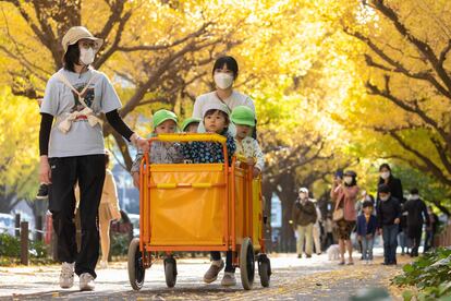 Alumnos de una escuela iinfantil en la avenida Jingu Gaien Ginkgo, el pasado noviembre.