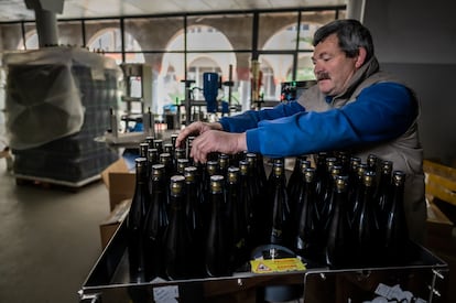 Un trabajador de Bodegas Jaime, situada en el pequeño pueblo de Morata de Jalón, en Zaragoza.