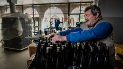 Un trabajador de Bodegas Jaime, situada en el pequeño pueblo de Morata de Jalón, en Zaragoza.