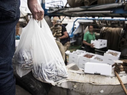 Descarga de pescado en un puerto.