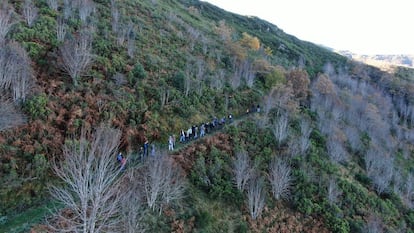 Un grupo de personas hace senderismo por la zona.