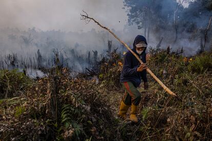 Incendio en una plantación de aceite de palma en septiembre de 2023 en la isla de Sumatra, en Indonesia.