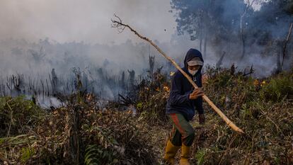 Incendio en una plantación de aceite de palma en septiembre de 2023 en la isla de Sumatra, en Indonesia.