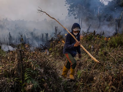 Incendio en una plantación de aceite de palma en septiembre de 2023 en la isla de Sumatra, en Indonesia.