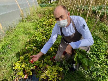 Ignacio Echapresto mostrando fresas en Octubre. J.C. CAPEL