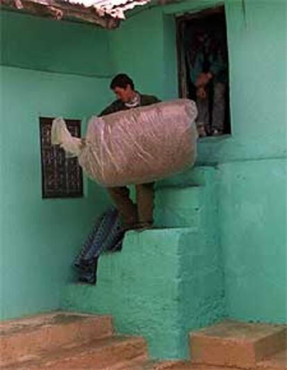 Un hombre lleva plantas de hachis en Bad Barred, Marruecos.