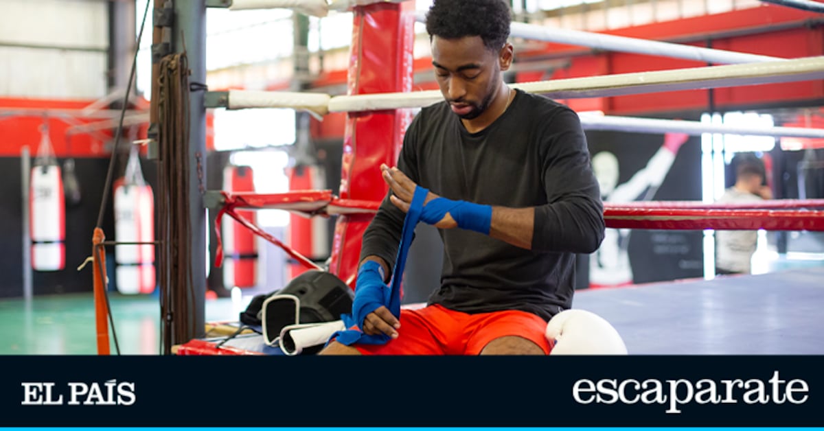 Vendas de boxeo Venum: las más vendidas tanto para profesionales como para principiantes | Top reviews | Escaparate – Technologist