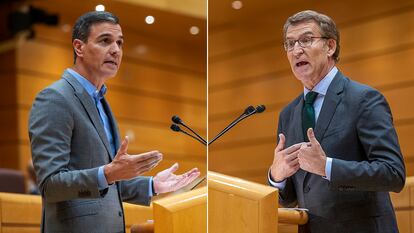 Pedro Sánchez y Alberto Nuñez Feijóo, durante una intervención en el Senado en octubre.