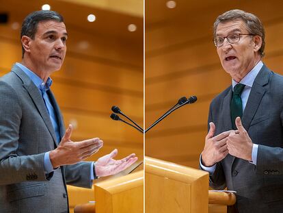 Pedro Sánchez y Alberto Nuñez Feijóo, durante una intervención en el Senado en octubre.