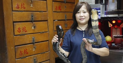 Chau Ka Ling saca una cobra de su jaula.