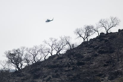 En el útimo año y medio, este entorno natural ha sufrido una veintena de incendios. Este último se ha producido casi en su totalidad en la localidad de El Castillo de las Guardas y ha arrasado más de 1.500 hectáreas.