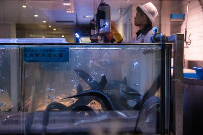 En la imagen, un escaparate de una tienda con anguilas a la venta en el Chinatown de Londres (Inglaterra).