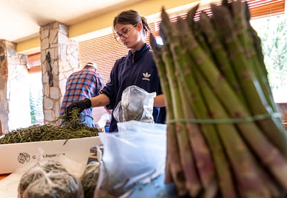 Judith Camañes prepara los espárragos en cajas para enviarlos y que lleguen a los restaurantes en menos de 24 horas. 