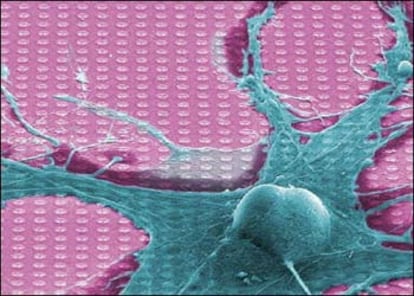 Imagen de un neurochip distribuida por la empresa alemana de nuevas tecnologías Infineon.
