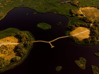 La zona de las pasarelas de la Isla del Pan, que son parte de uno de los itinerarios visitable.
