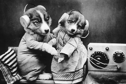 Perros telefonistas, también otro clásico de principios del siglo pasado.