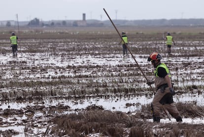 Miembros de la UME buscan desaparecidos entre los arrozales de Alfafar (Valencia), el viernes.