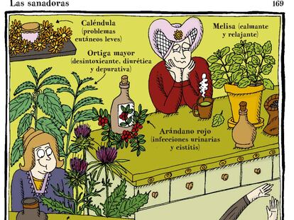 Un mundo de plantas voraces, viajeras, malolientes