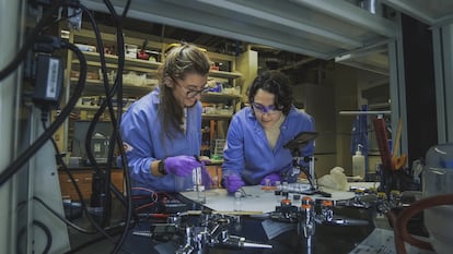 Two researchers financed by the National Foundation of Sciences, at the Dartmouth University, in Hanover (USA).