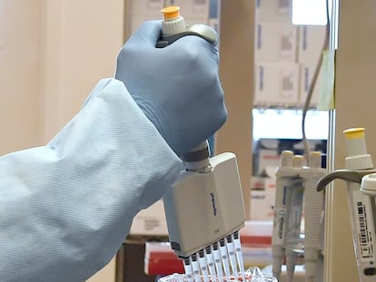 Microbiologista realiza um teste de PCR para detectar infecção por coronavírus.