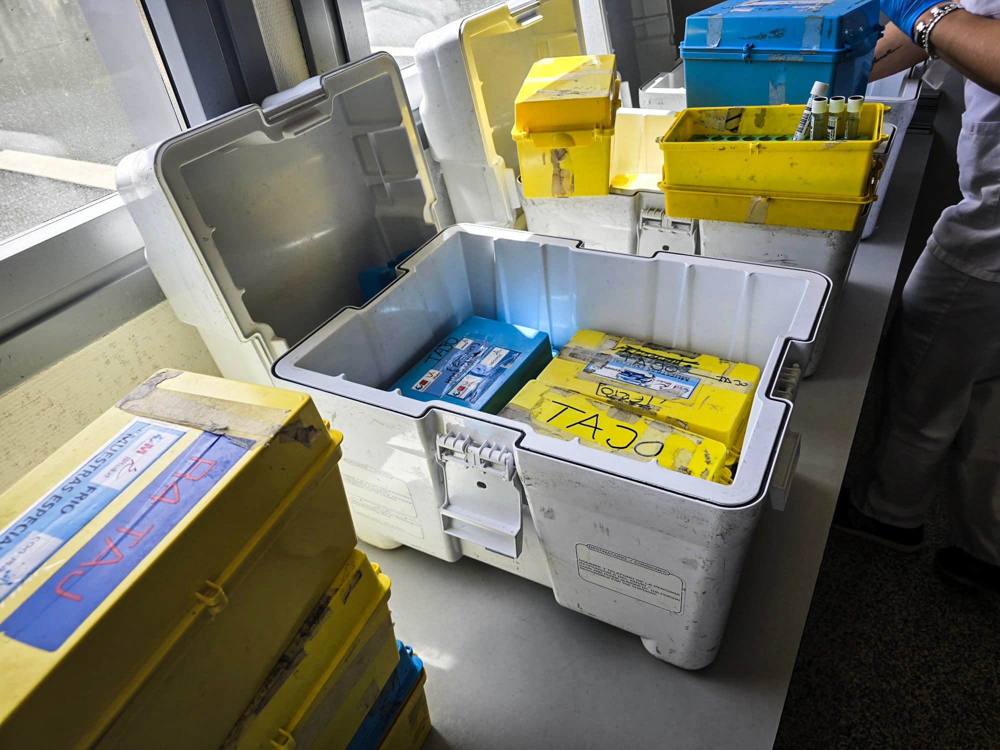 Neveras con muestras procedentes del Hospital del Tajo (Aranjuez) este martes en el Laboratorio Clínico Central.
