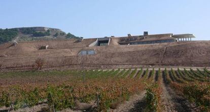 Vista de parte de los vi&ntilde;edos y la bodega Entrecastillos, en la Ribera del Duero.