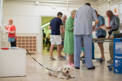 Un perro aguarda a su dueño en un colegio electoral de Barcelona este domingo.