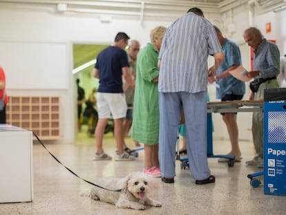 Un perro aguarda a su dueño en un colegio electoral de Barcelona este domingo.