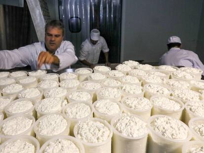 Alfredo González supervisa el proceso de fabricación del queso Moho Blanco el pasado viernes. 