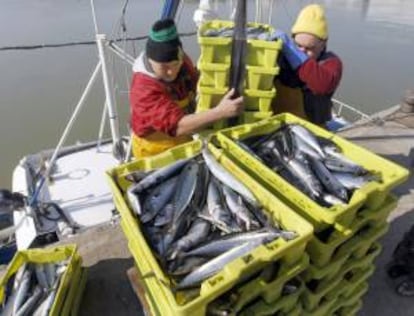 Dos marinos se disponen a desembarcar, en el puerto de Santoña (Cantabria), las primeras capturas de verdel, o caballa. EFE/Archivo