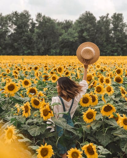 Uno de las múltiples fotos en el campo de girasoles que ha tenido que cerrarse al público.