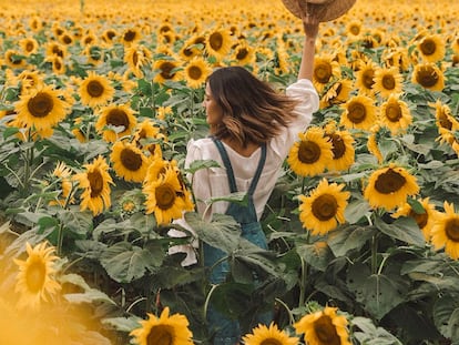 Uno de las múltiples fotos en el campo de girasoles que ha tenido que cerrarse al público.